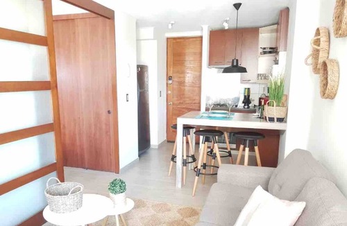 Lastarria Apartment | Bellas Artes Concepto