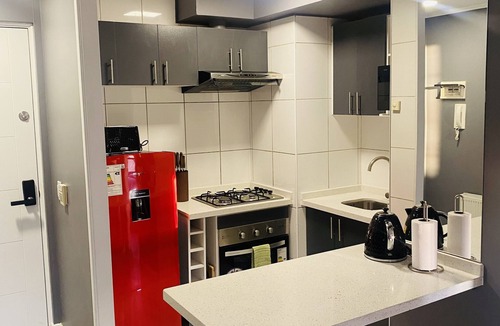 Bellas Artes Apartment | Beautiful apartment near Lastarrias