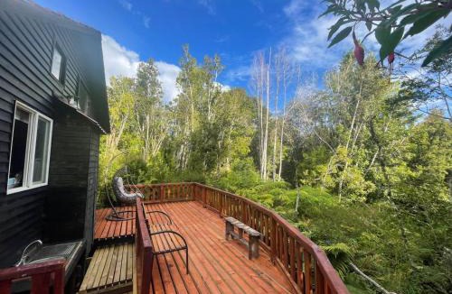 Puerto Raul Marin Balmaceda Villa | Cabaña en selva patagónica, cerca del pueblo