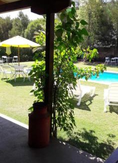 Paine Apartment | Cabaña Campestre de 1 Ambiente En Paine