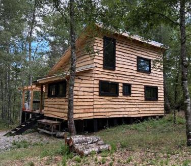 Curacautin Ski Chalet | Cabaña Chucao, Nativo Lodge, Araucanía Andina