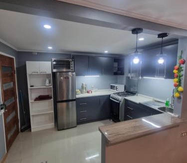 Ancud Apartment | Cabaña