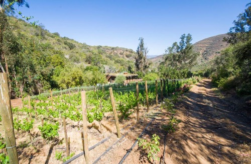 Quillota Bed & Breakfast | cabaña con tinaja en viña narbona wines