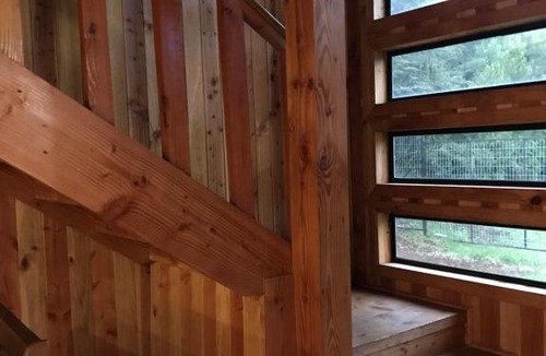 Lican Ray House | Cabaña Licanray