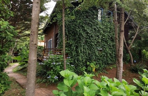 Conaripe House | Cabaña Pudomo en Coñaripe con Hot-tub exclusivo