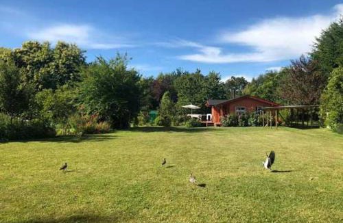 Las Chilcas House | Cabaña Rosita Pucon