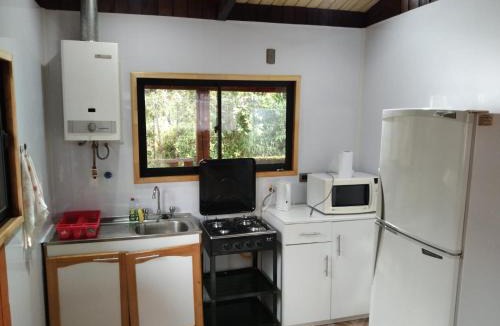 Valdivia House | Cabaña selva Valdiviana