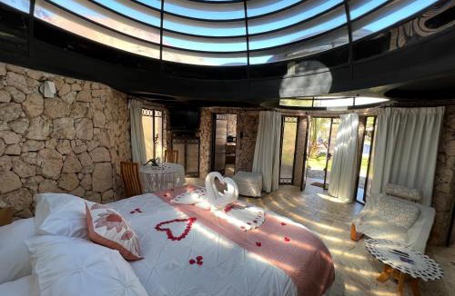 Pisco Elqui House | Cabañas Caballieri