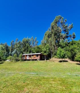 Bajos de Lircay Cabin | Cabañas Cerro Colorado Lago Colbún