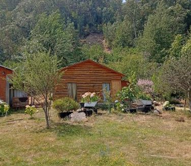 Colbun House | Cabañas Donde Nancy
