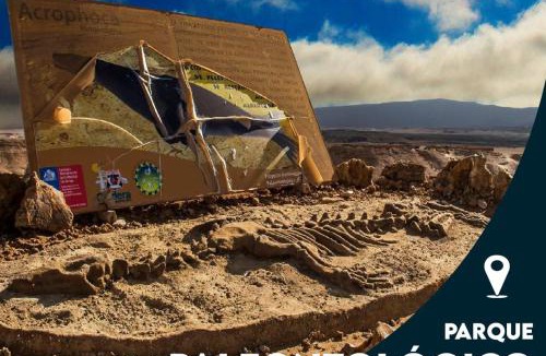 Bahia Inglesa Cabin | Cabañas Ecologicas Alto Cañizares