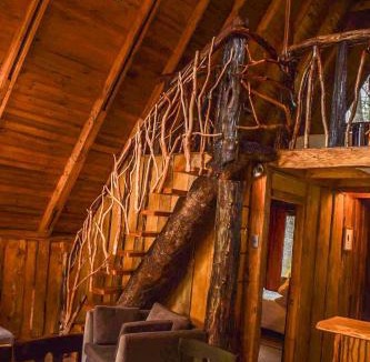 Aysen House | Cabañas Ecoturismo la Pancha