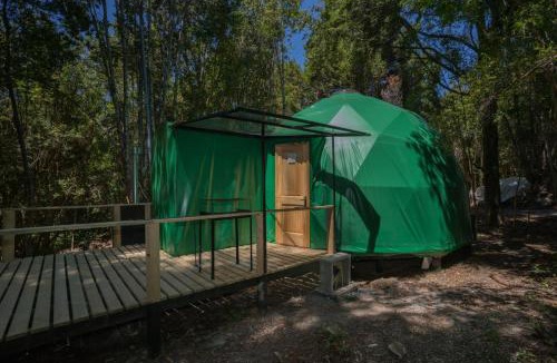 Ensenada Ski Chalet | Cabañas Ensenada Bosque Nativo