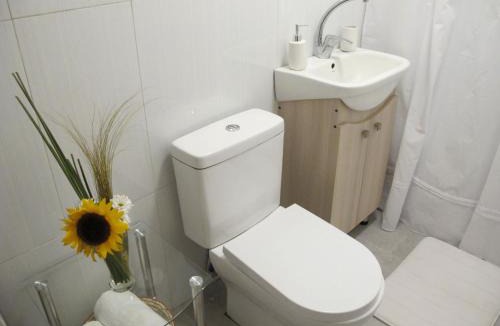 Chillan Apartment | Cabañas Lemupewen Chillán 2 Factura