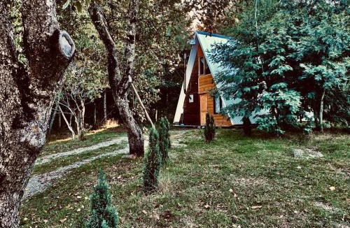 Loncoche Ski Chalet | Cabañas Los Avellanos
