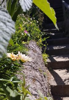 Osorno Apartment | Cabañas Los Geranios