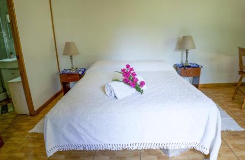 Hanga Roa Apartment | Cabañas moeVarua en Tahai