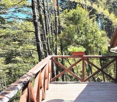 Temuco Apartment | Cabañas mountain Native forest