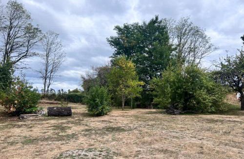 Gorbea Apartment | Cabañas NATURE