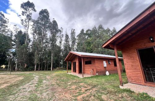 Gorbea Apartment | Cabañas NATURE