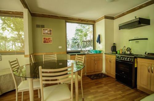 San Alfonso Cabin | Cabañas Nogalia