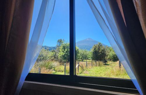 Hornopiren National Park House | Cabañas P y R los canelos