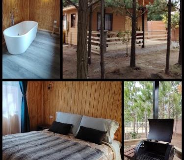 El Quisco Ski Chalet | Cabañas Pinos del Mar