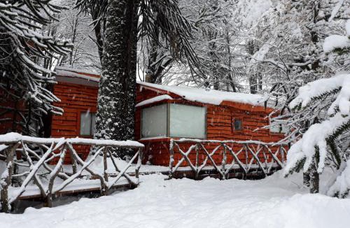 Curacautin House | Cabañas Pukem