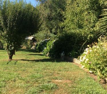 Bajos de Lircay House | Cabañas Rahue