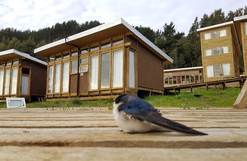 Curanipe Hotel | Cabañas rio chovellen