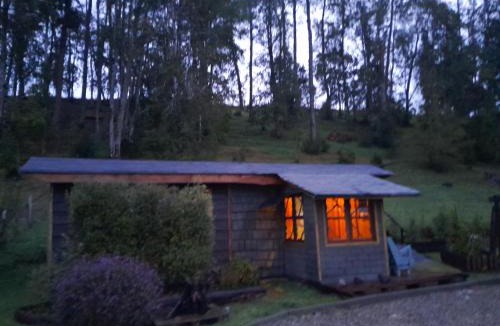 Panguipulli House | Cabañita de campo