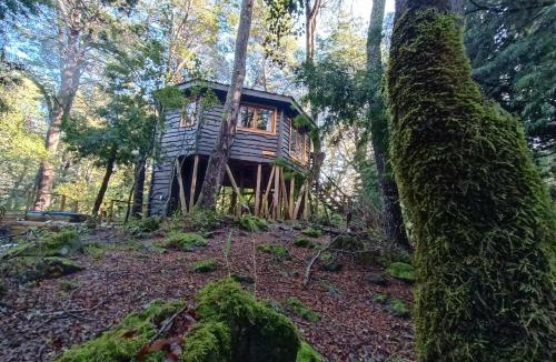 Pinto Ski Chalet | Cabañita del Árbol Cóndor