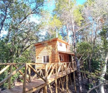 Pinto Ski Chalet | Cabañita Del Árbol Concón