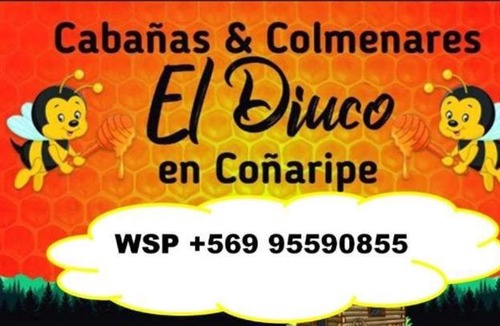 Conaripe House | Cabañas El Diuco en Coñaripe 3