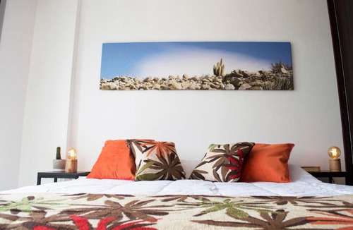 Salta Apartment | Cactus 2