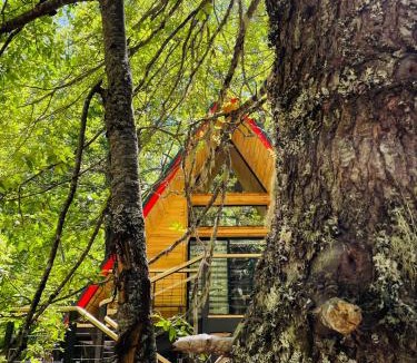 Curacautin Ski Chalet | Casa del Árbol - Malalcahuello