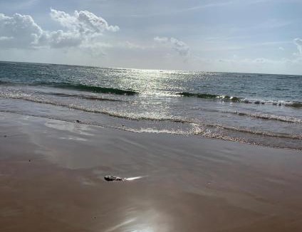 Guarajuba Apartment | Casa em Condomínio na Praia de Guarajuba/BA