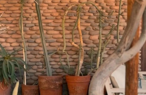 San Pedro de Atacama House | Casa Luna Bed & Breakfast