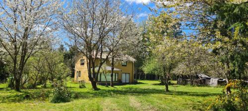 Valdivia House | Casa Selva