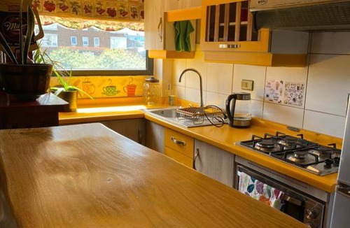 Temuco Apartment | Centro de Temuco Depto único, rústico y a pasos de todo Incluye estacionamiento