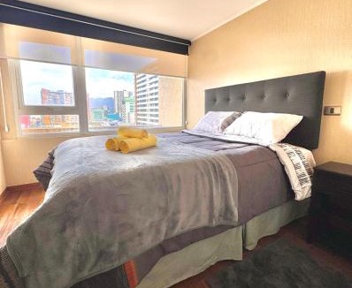 Temuco Apartment | Centro Temuco 4