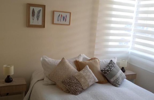 Chillan Apartment | Chillan Centro
