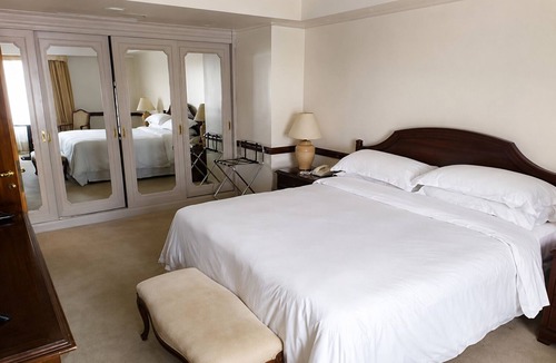 Microcentro Hotel | City-Centric Room Ideal for Walking to The Obelisk | Rooftop Pool, Pet-Friendly