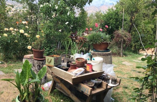 Olmue House | Connect with the Chilean native forest