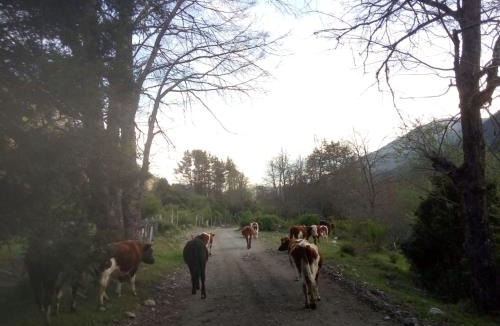 Curarrehue Ski Chalet | Corral del Agua
