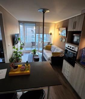 Vina del Mar Apartment | Cozy and nice apartment