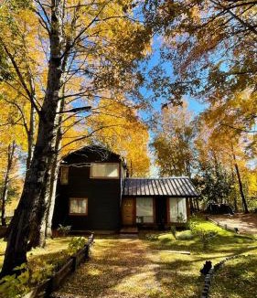 Pinto Ski Chalet | Daben Recinto Ñuble camino Termas de Chillan