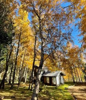 Pinto Ski Chalet | Daben Recinto Ñuble camino Termas de Chillan