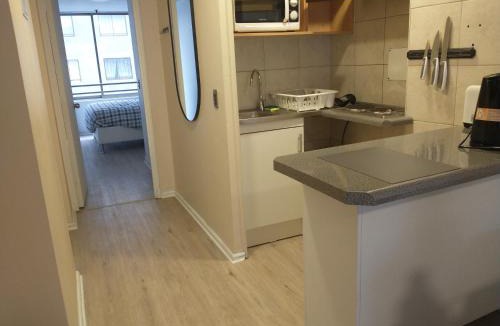 Bellas Artes Apartment | Departamento Barrio Bellas Artes
