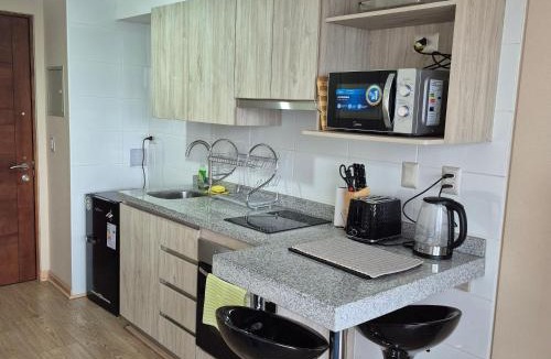 Osorno Apartment | Departamento Central Osorno 2